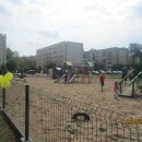 dnio 116